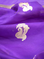 Banarasi Pure Kora Organza Handwoven Silk Saree