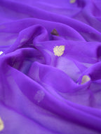 Banarasi Pure Khaddi Chiffon Handwoven Silk Saree