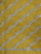 Banarasi Pure Katan Silk Plain Saree