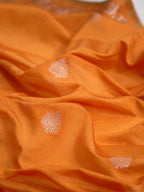 Banarasi Soft Silk Saree
