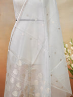 Handwoven Banarasi Pure Kora Organza Silk Dupatta (Dyeable)
