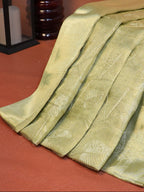 Tissue Silk Embroidered Saree – Pastel Green