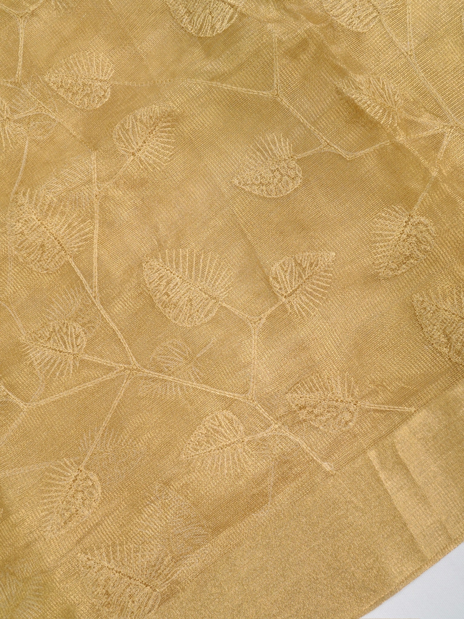 Tissue Silk Embroidered Saree – Golden Beige