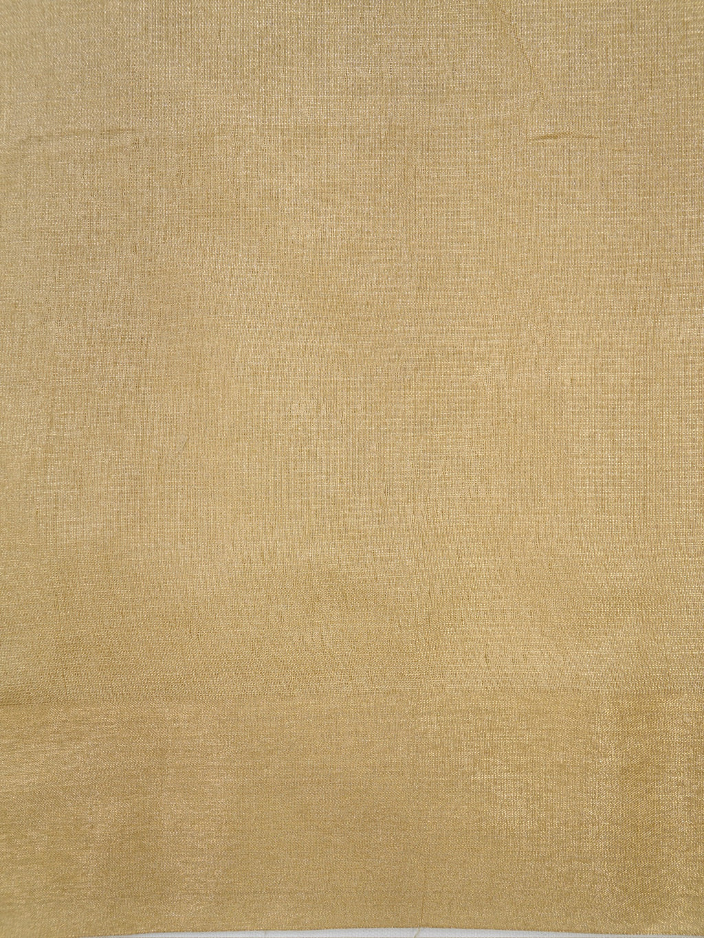 Tissue Silk Embroidered Saree – Golden Beige