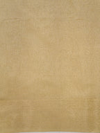Tissue Silk Embroidered Saree – Golden Beige