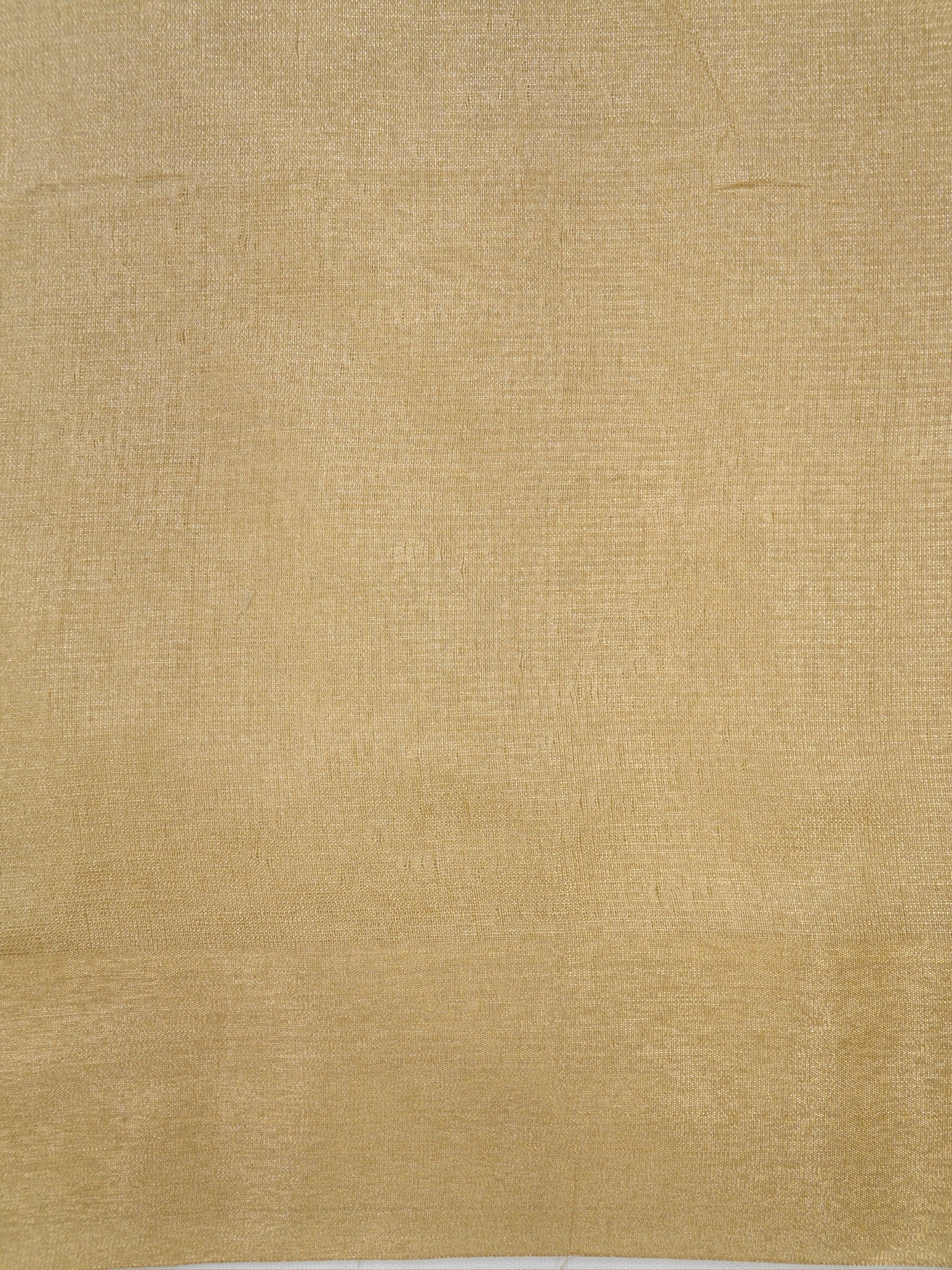 Tissue Silk Embroidered Saree – Golden Beige