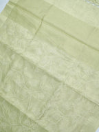 Tissue Silk Embroidered Saree – Pastel Green