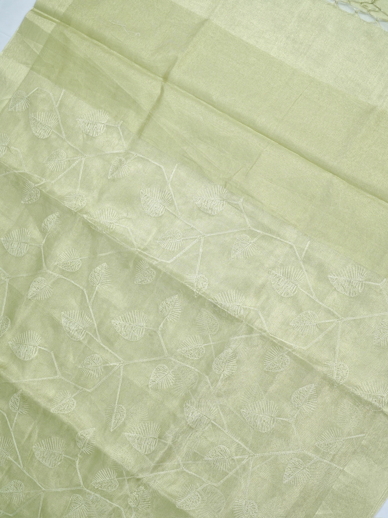 Tissue Silk Embroidered Saree – Pastel Green