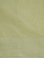 Tissue Silk Embroidered Saree – Pastel Green