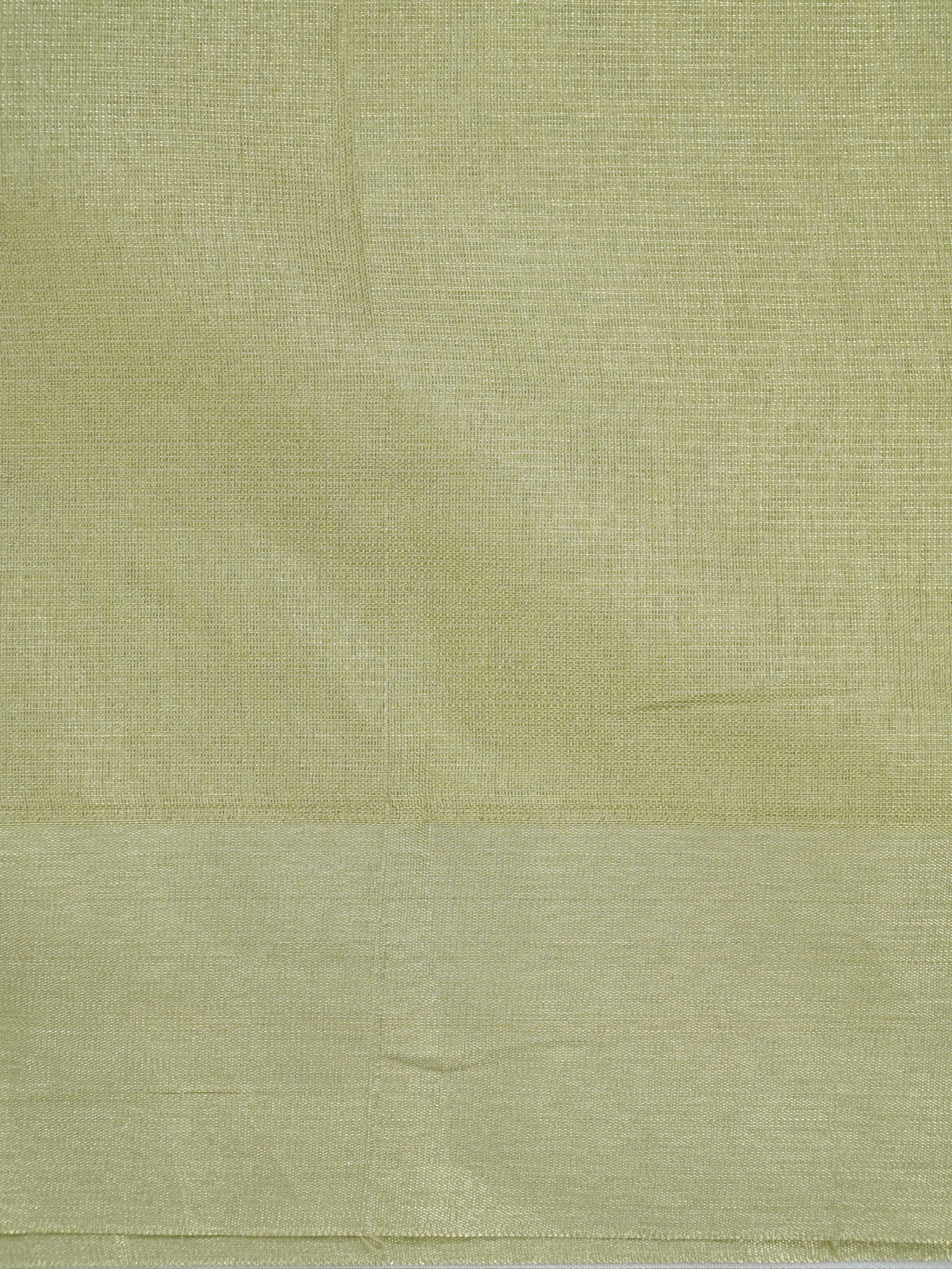 Tissue Silk Embroidered Saree – Pastel Green