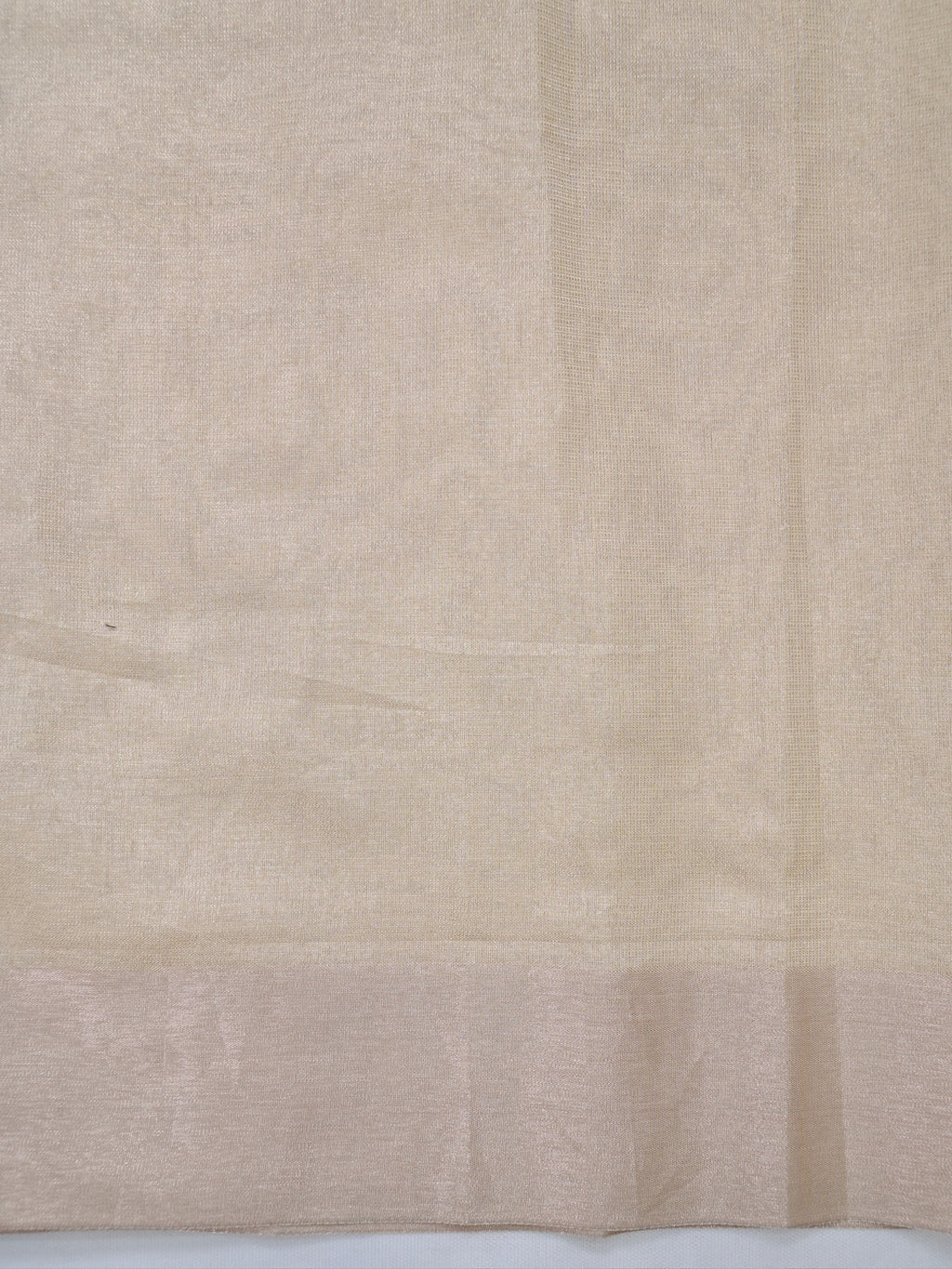 Tissue Silk Embroidered Saree – Beige