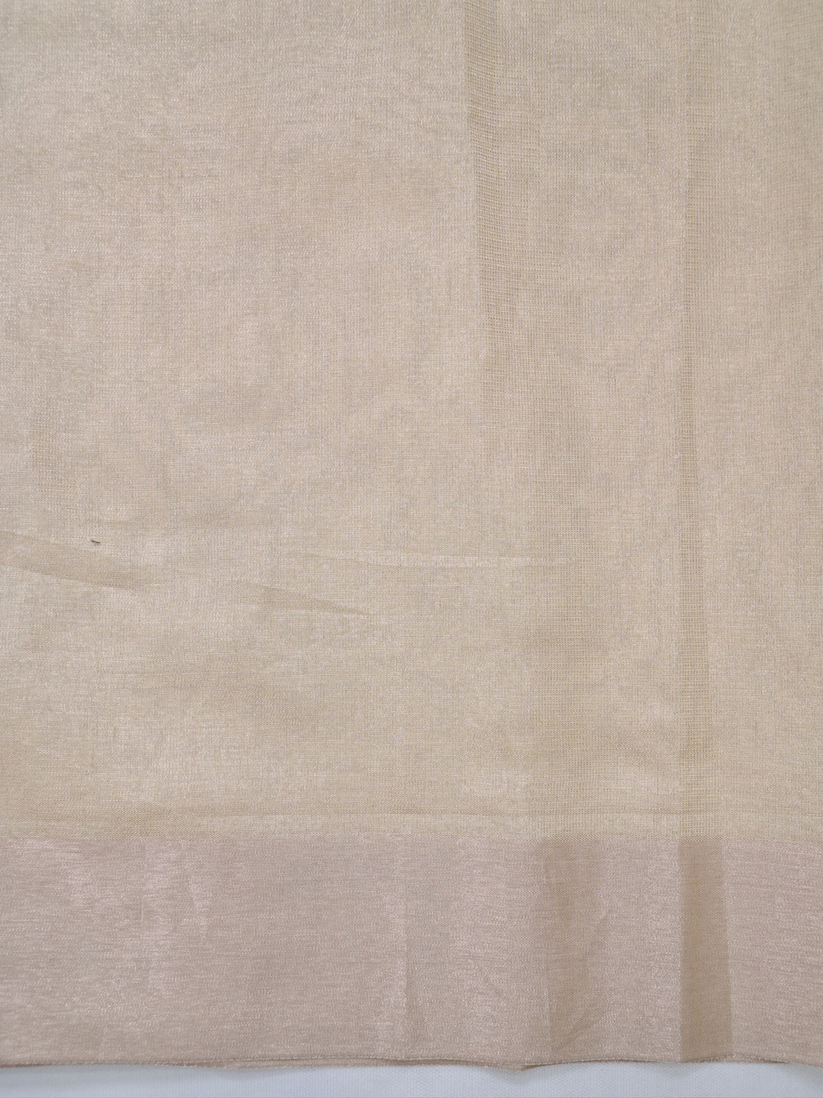 Tissue Silk Embroidered Saree – Beige