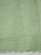Soft Organza Silk Embroidered Saree – Pastel Green