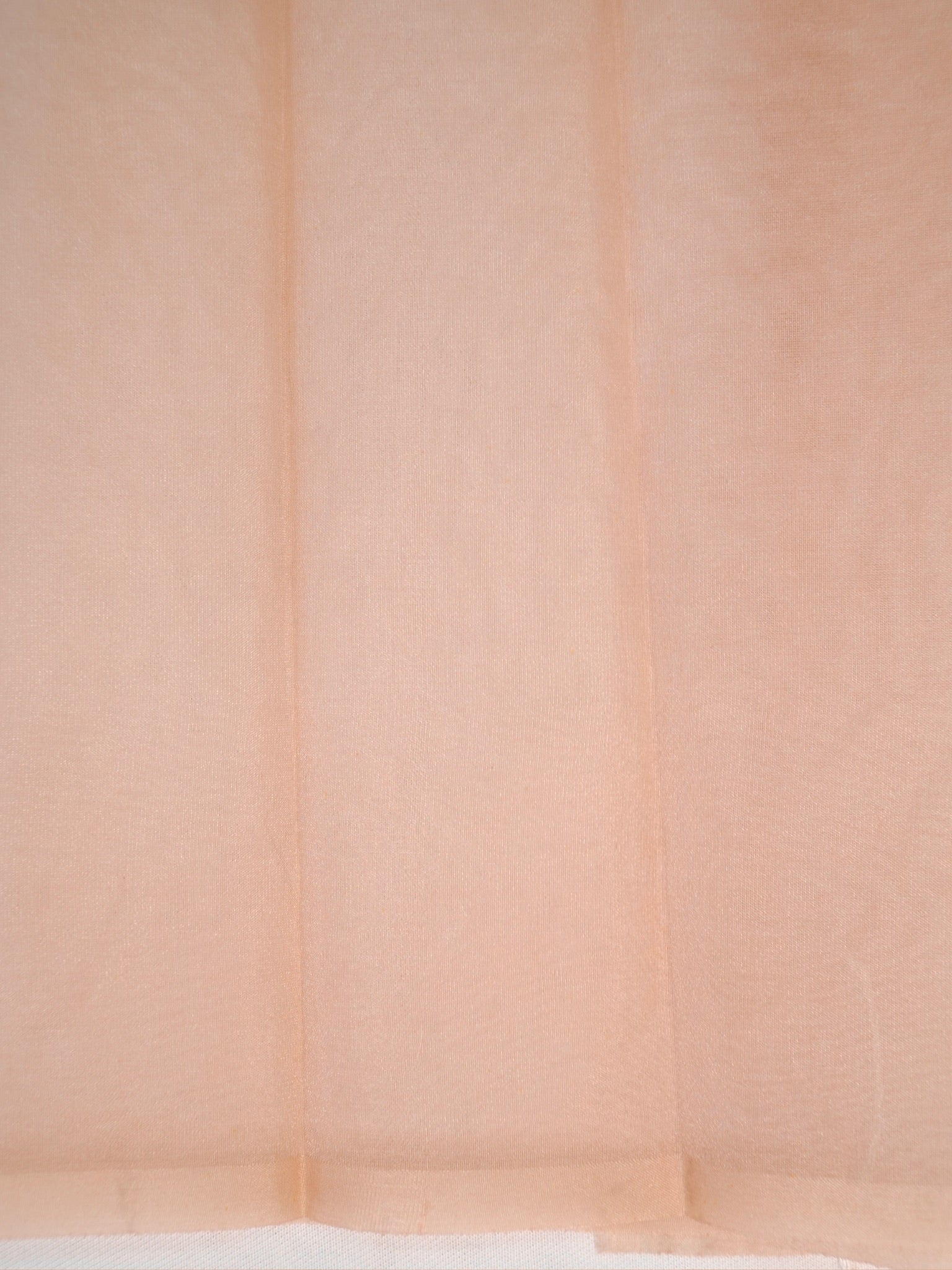 Soft Organza Silk Embroidered Saree – Blush Peach