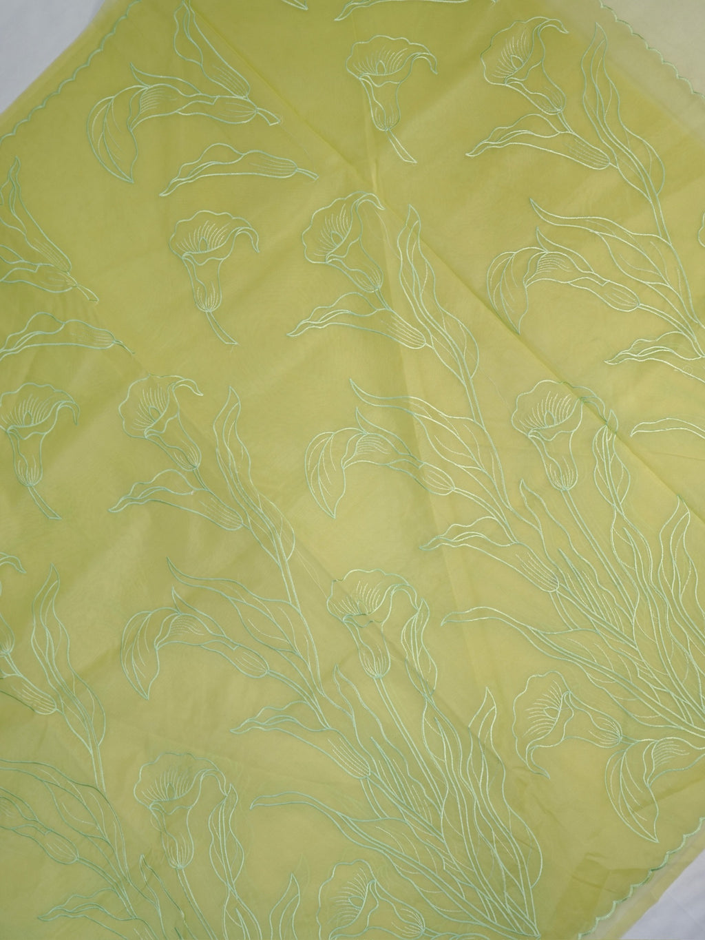 SOFT ORGANZA SILK EMBROIDERED SAREE – LIGHT GREEN