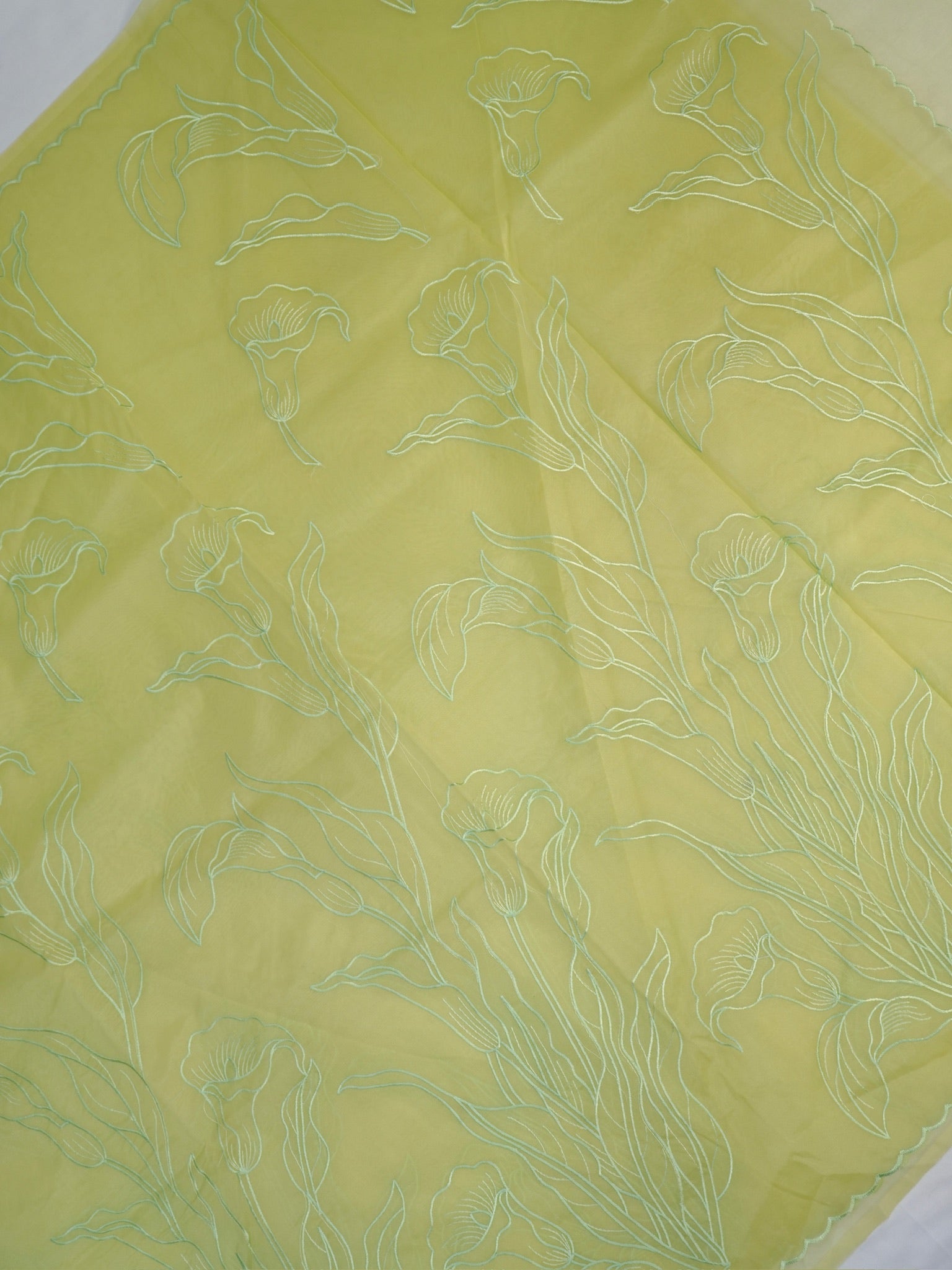 SOFT ORGANZA SILK EMBROIDERED SAREE – LIGHT GREEN