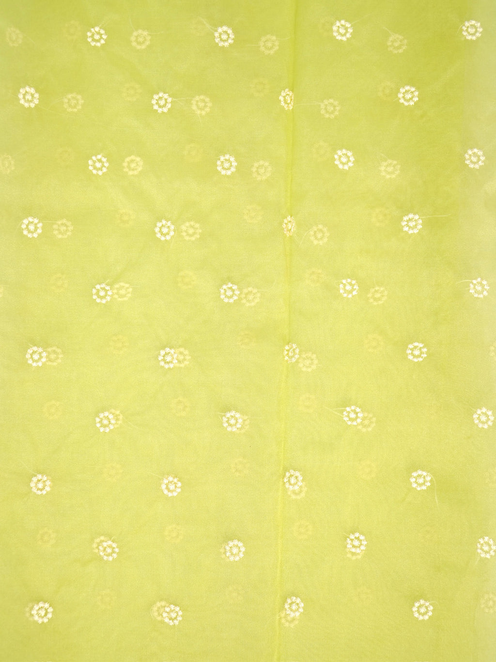 SOFT ORGANZA SILK EMBROIDERED SAREE – LIGHT GREEN