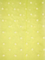 SOFT ORGANZA SILK EMBROIDERED SAREE – LIGHT GREEN