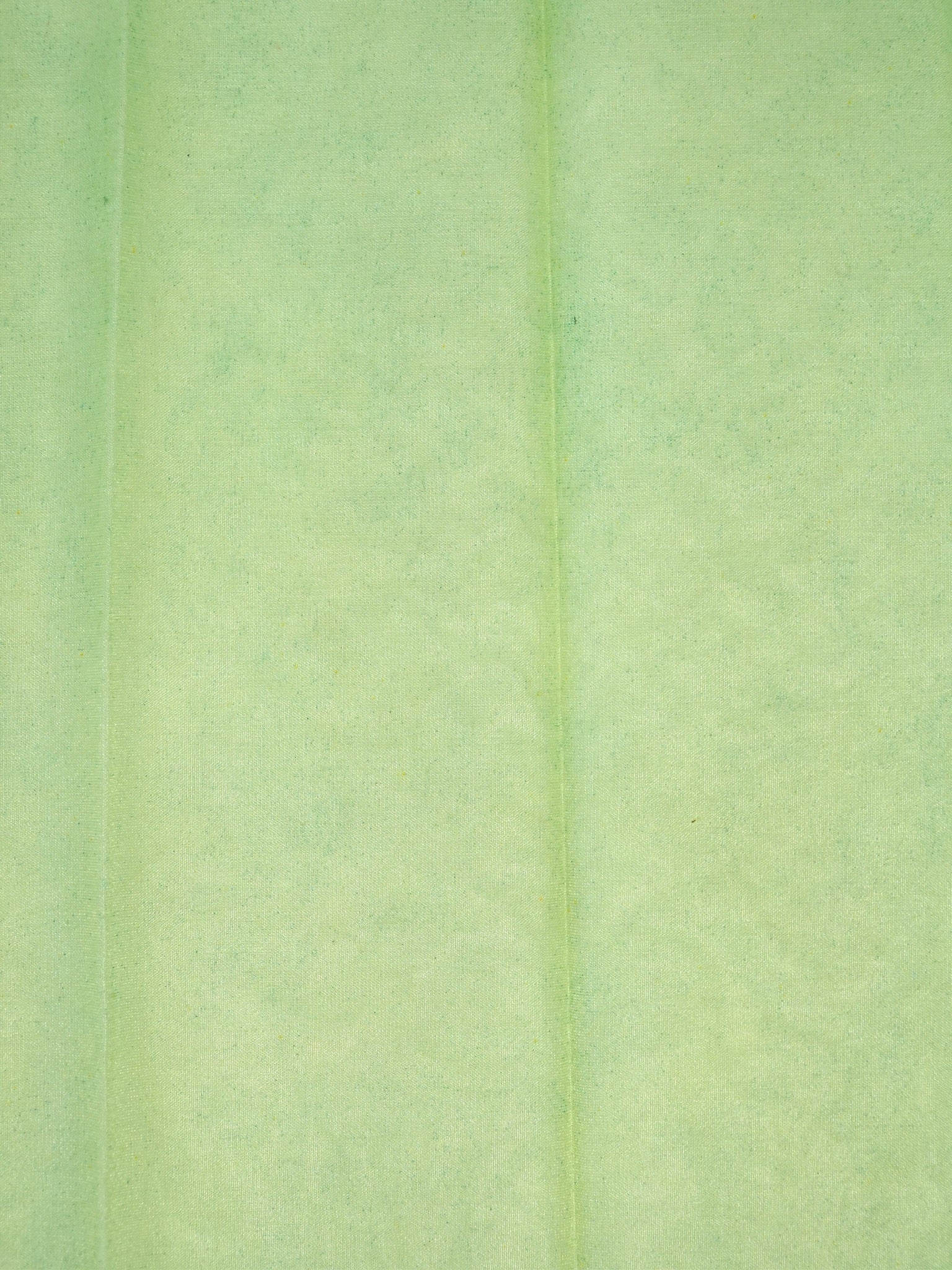 Soft Organza Silk Handbrush Embroidered Saree - Mint Green / Pastel Green