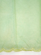 Soft Organza Silk Embroidered Saree – Mint Green