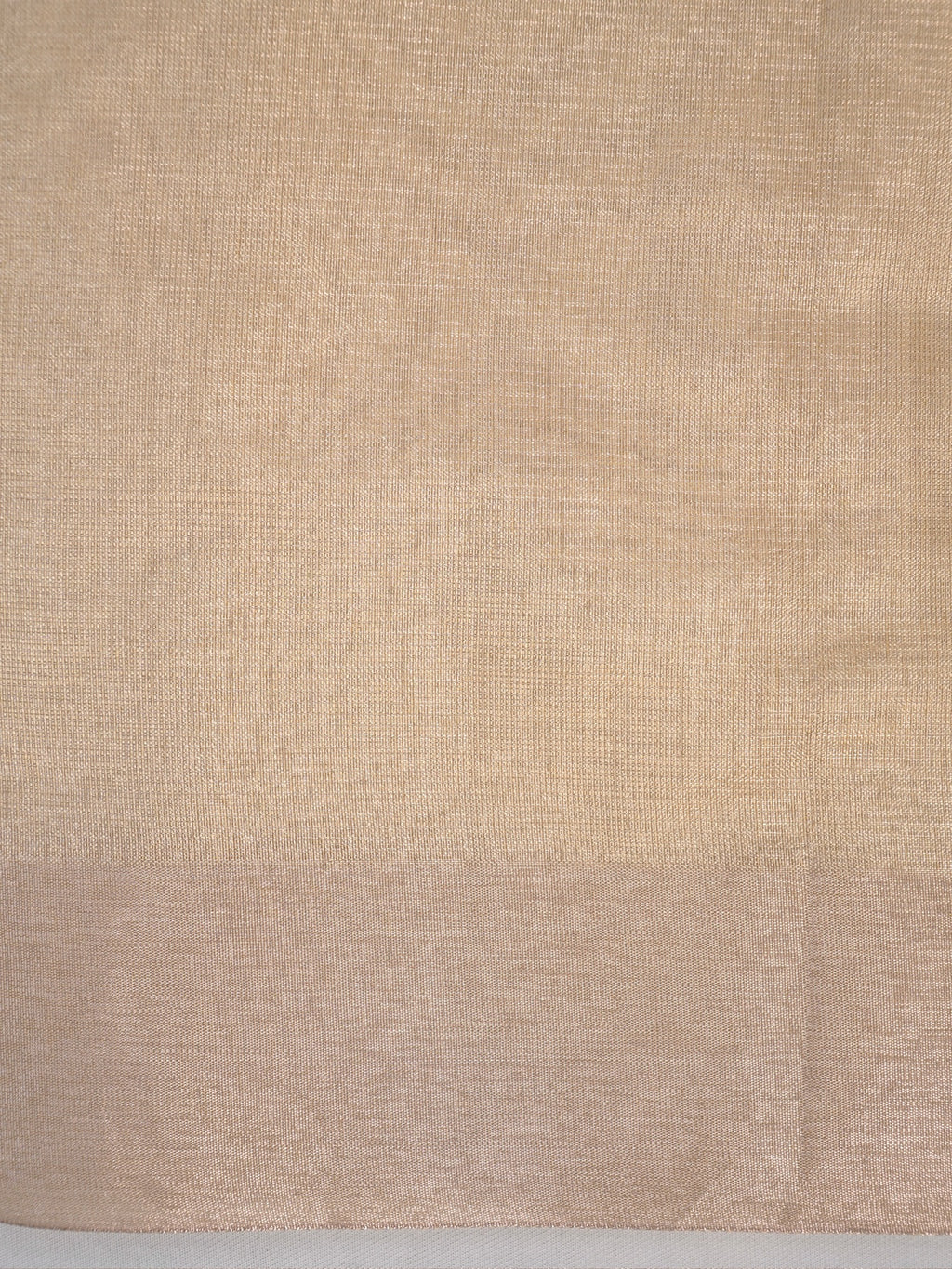 Soft Tissue Silk Embroidered Saree - Elegant Warm Beige