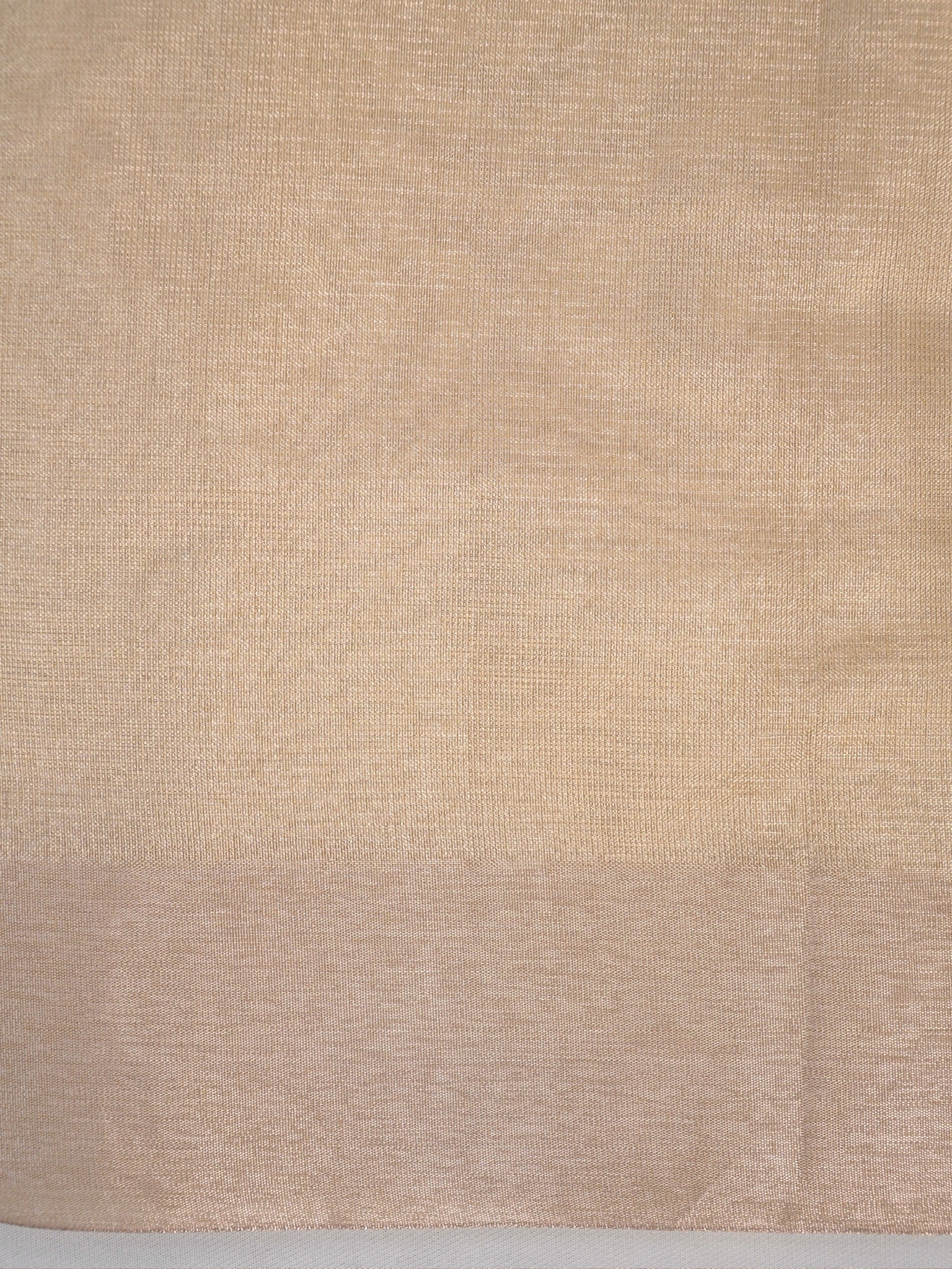 Soft Tissue Silk Embroidered Saree - Elegant Warm Beige