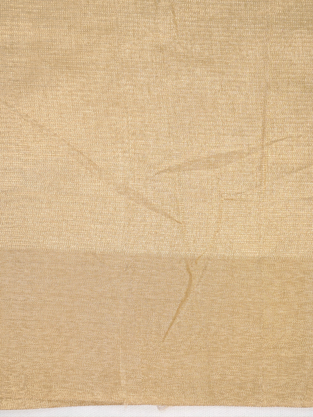 Soft Tissue Silk Embroidered Saree – Golden Beige