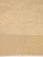 Soft Tissue Silk Embroidered Saree – Golden Beige