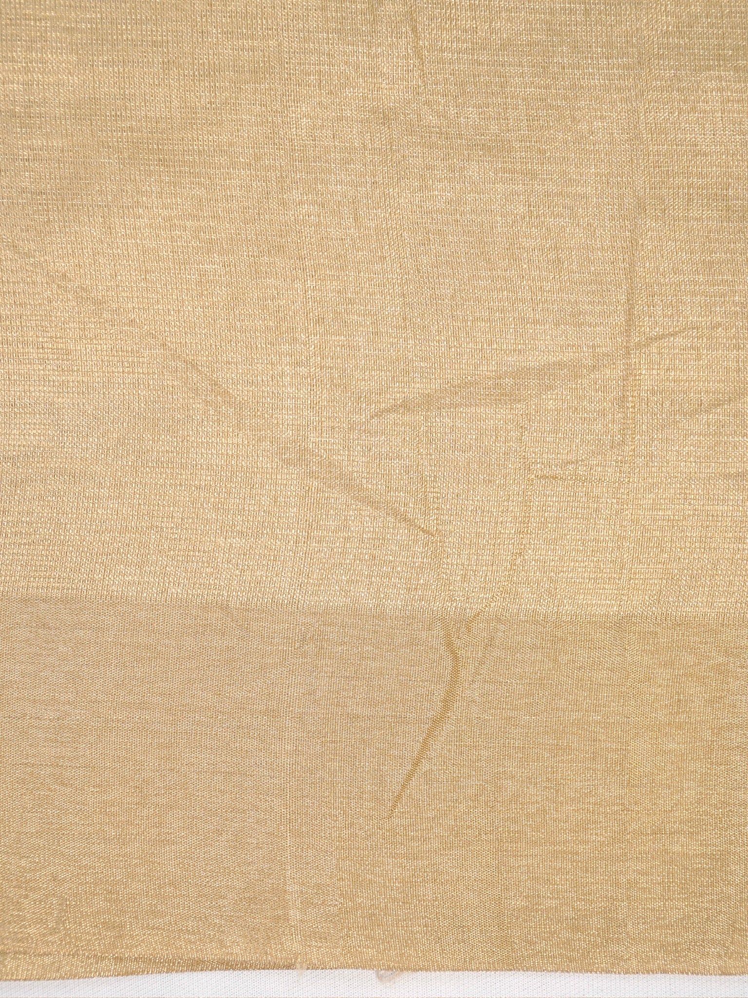 Soft Tissue Silk Embroidered Saree – Golden Beige