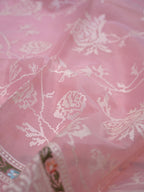 Blush Pink Fancy Organza Embroidery Saree with Cross-Stitch Floral Vines & Detailed Borders