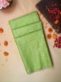 Pastel Pistachio Green Soft Organza Floral Embroidered Saree