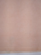 Rose Gold Soft Organza Floral Embroidered Saree