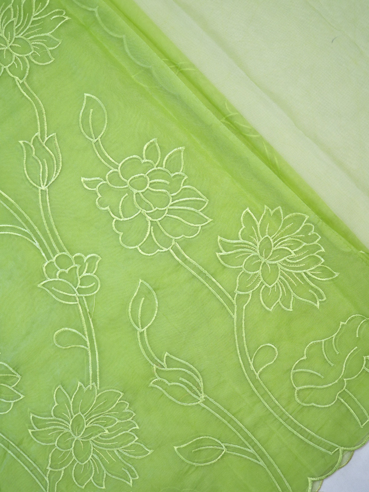 Parrot Green Soft Organza Silk Floral Embroidered Saree with Scalloped Border