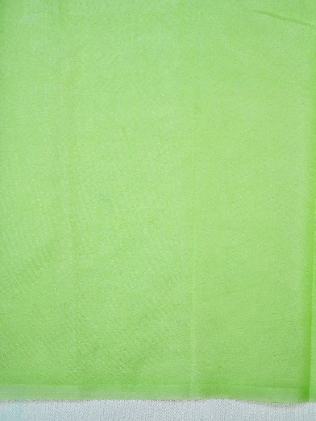 Parrot Green Soft Organza Silk Floral Embroidered Saree with Scalloped Border
