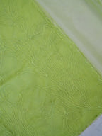 Pastel Pistachio Green Soft Organza Floral Embroidered Saree
