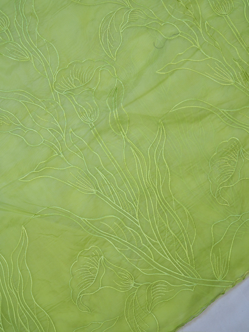 Pastel Pistachio Green Soft Organza Floral Embroidered Saree