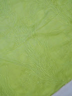 Pastel Pistachio Green Soft Organza Floral Embroidered Saree