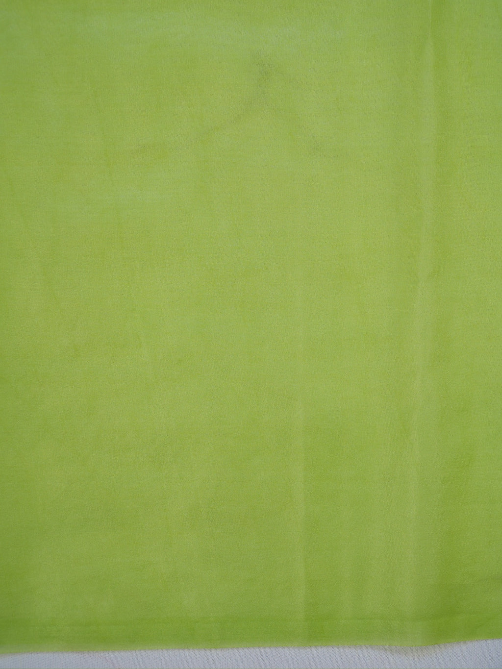Light Green Soft Organza Silk Floral Embroidered Saree with Scalloped Border