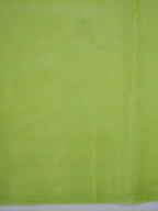 Light Green Soft Organza Silk Floral Embroidered Saree with Scalloped Border