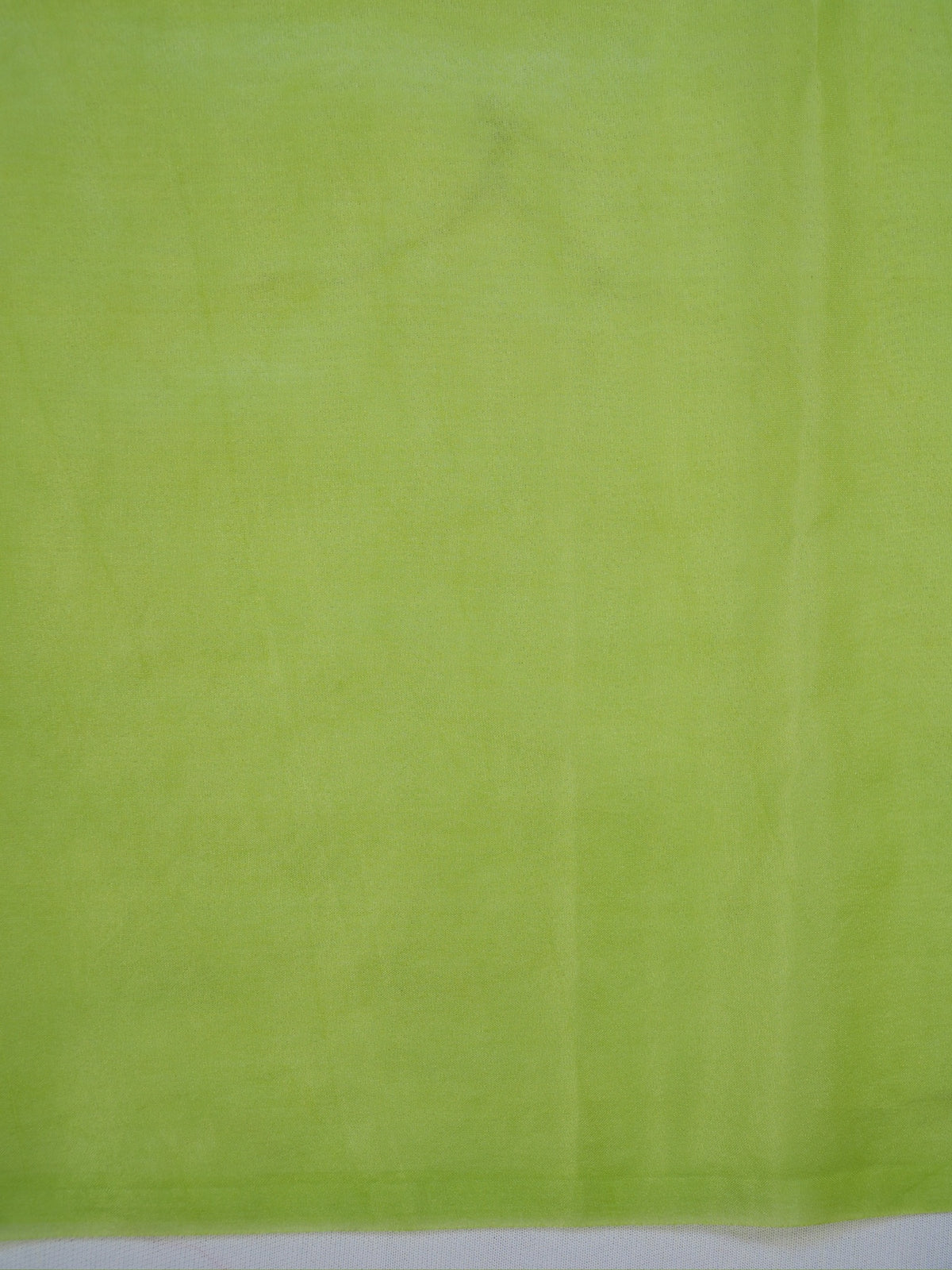Light Green Soft Organza Silk Floral Embroidered Saree with Scalloped Border