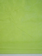 Lime Green Soft Organza Silk Floral Embroidered Saree with Scalloped Border