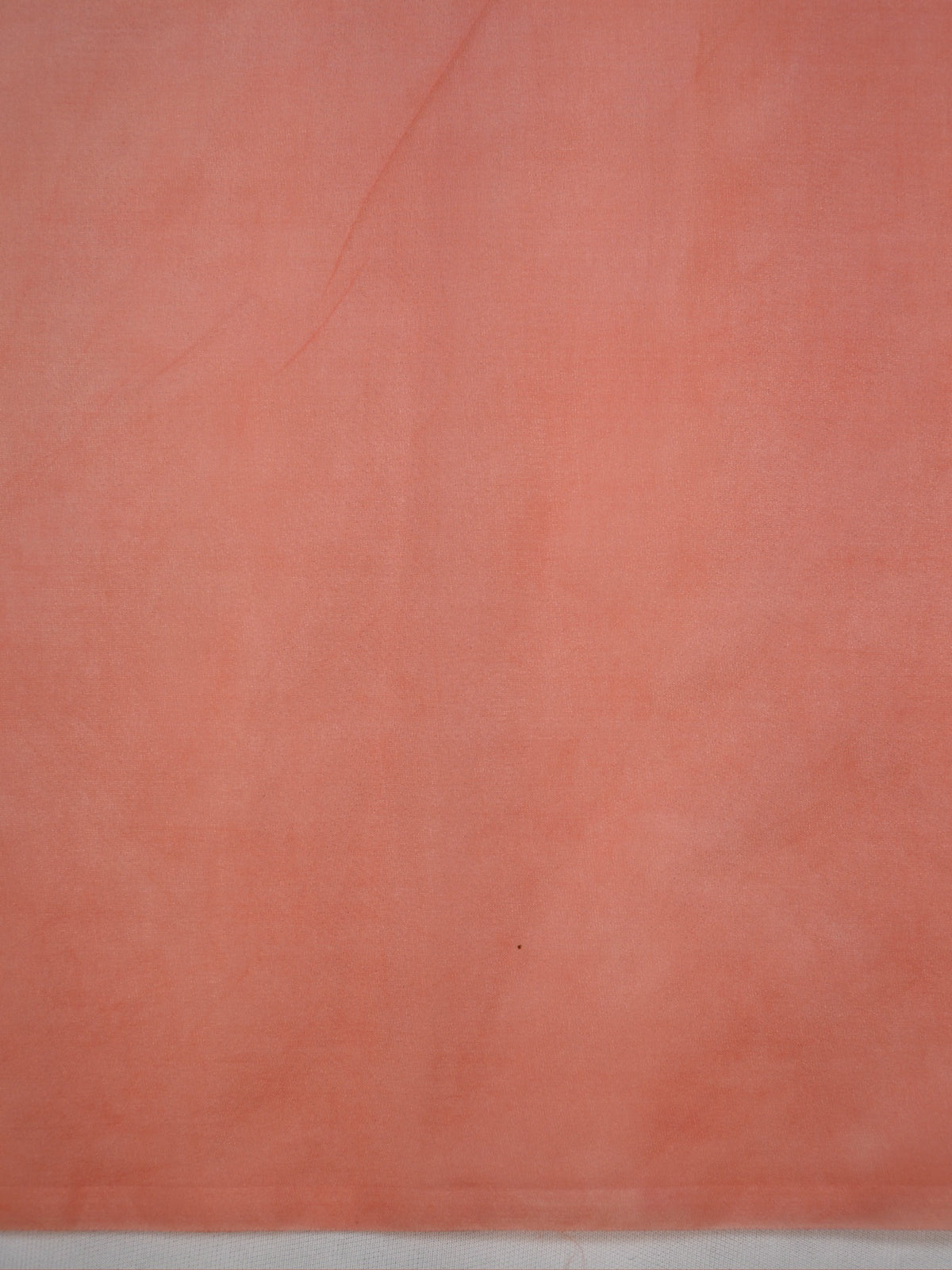 Peach Soft Organza Silk Floral Embroidered Saree with Scalloped Border