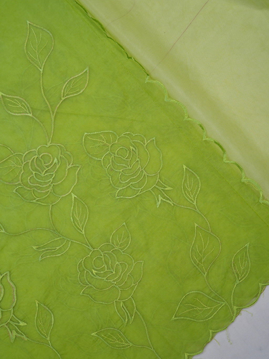 Pistachio Green Soft Organza Rose Embroidered Sare