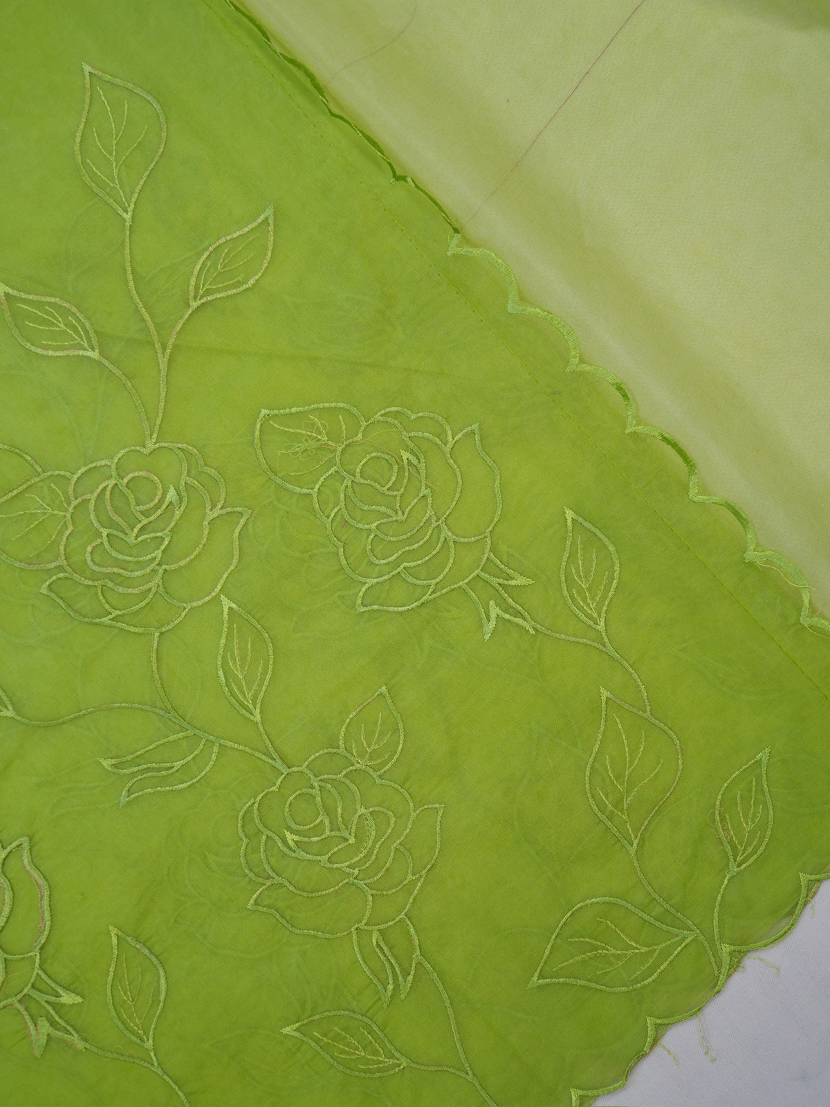 Pistachio Green Soft Organza Rose Embroidered Sare