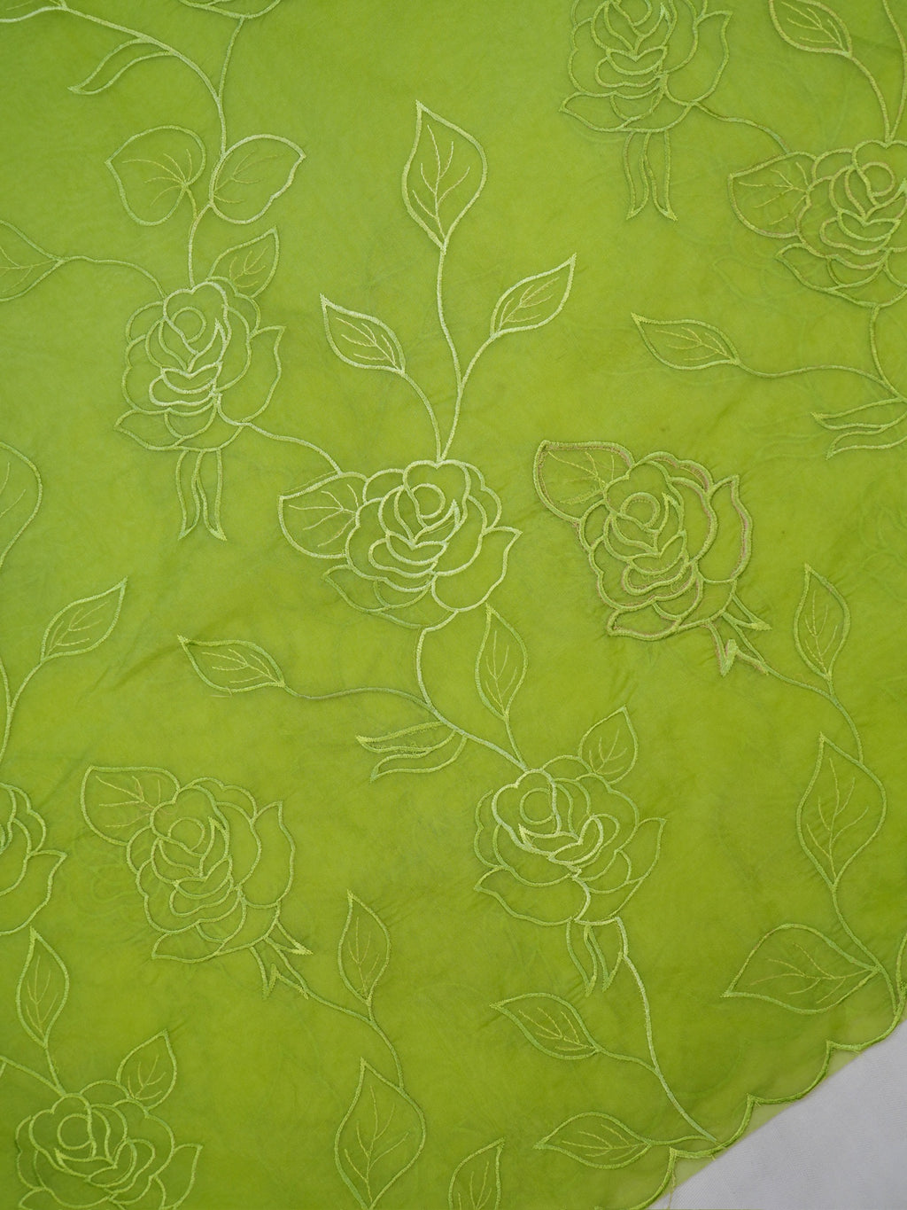 Pistachio Green Soft Organza Rose Embroidered Sare
