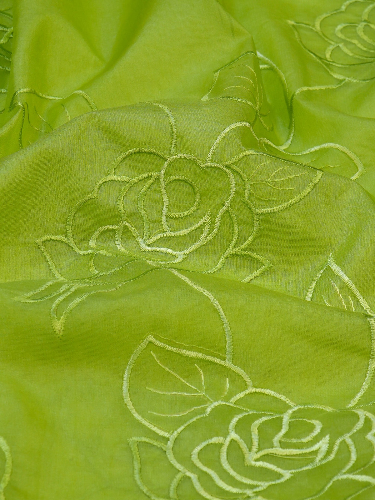 Pistachio Green Soft Organza Rose Embroidered Sare