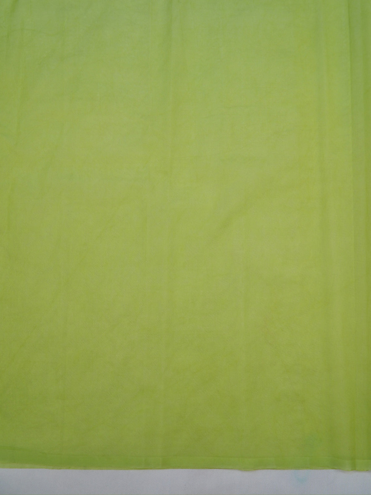 Pistachio Green Soft Organza Rose Embroidered Sare