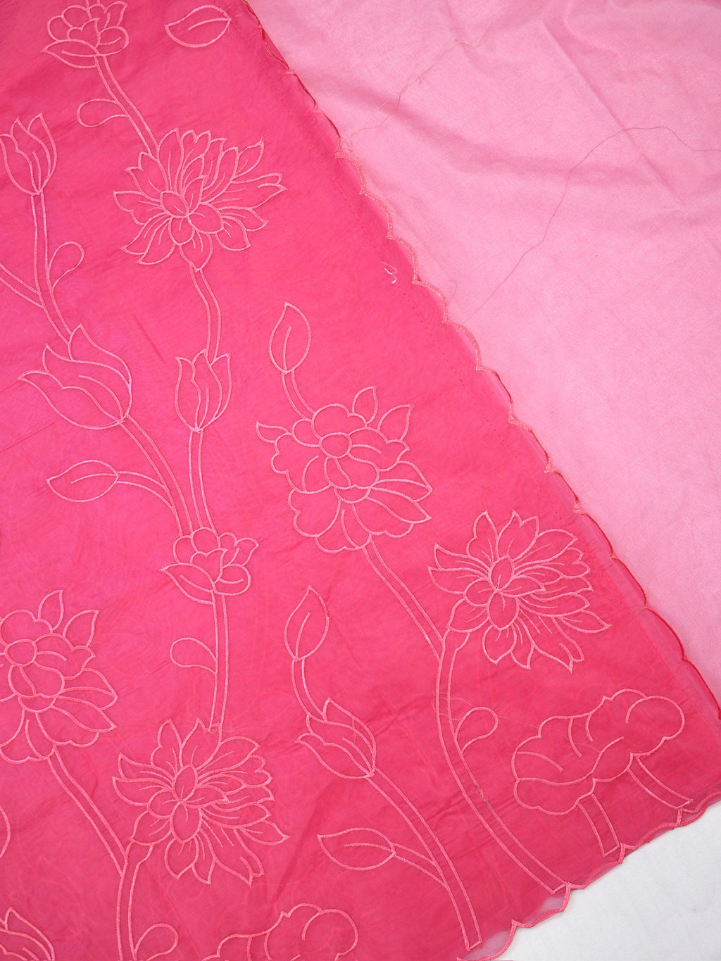 Rose Pink Soft Organza Vine & Floral Embroidered Saree