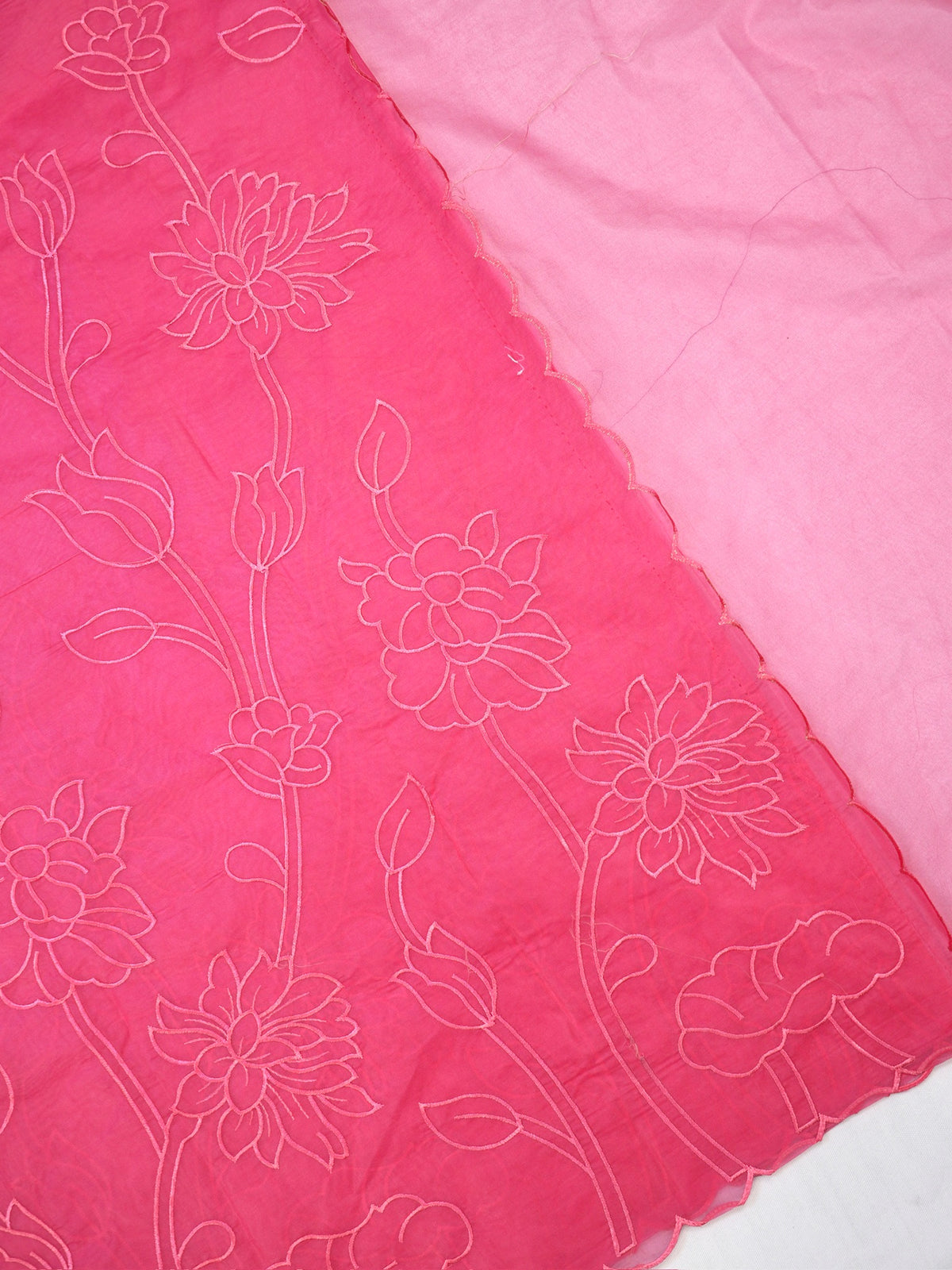 Rose Pink Soft Organza Vine & Floral Embroidered Saree