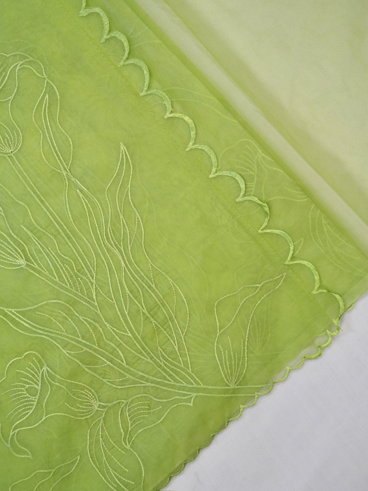 Pistachio Green Soft Organza Floral Embroidered Saree